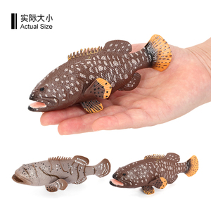 โมเดลหุ่นปลาปลาเก๋าจำลองทำจากพีวีซีแข็ง - Product Image 3