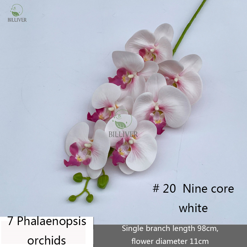7-Head # 20 Rose Core White
