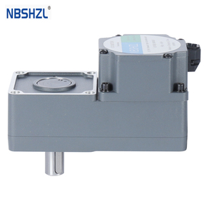 60mm Brushless <strong>DC</strong> Electric Gear <strong>Motor</strong> 110V-220V High Torque 60W-30W 24V-12V Permanent Magnet for Passage Gate