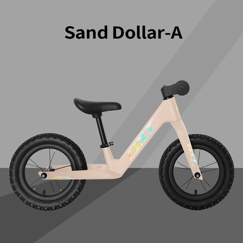 Sand Dollar-A