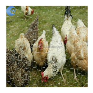 Zincato/pvc rivestito esagonale rete metallica recinzione di pollo per pollame azienda agricola rete rete di protezione della pianta di filo di pollo - Product Image 2