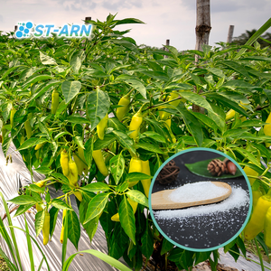 Plantwaterretentiongel Resina Polímero Estabilizador del suelo Hidrogel Biodegradable Agro para cultivo de vegetales - Product Image 3