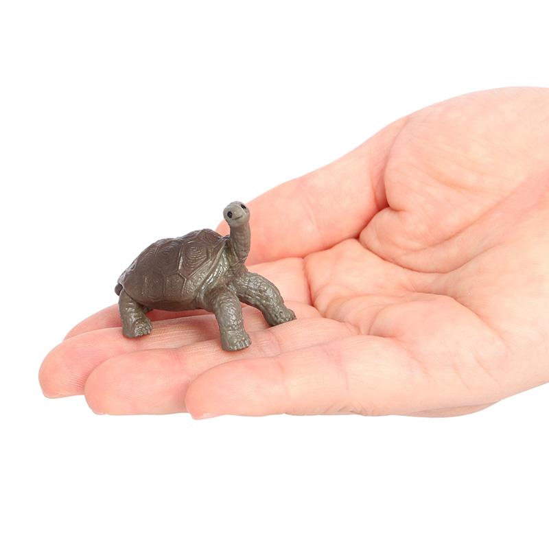 2972 Tortuga pequeña