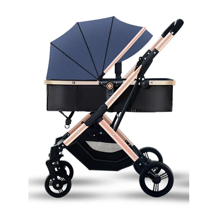 Ch aereo Carrier Premium sedile funzionale passeggino di lusso carrozzina 2 in 1 passeggino