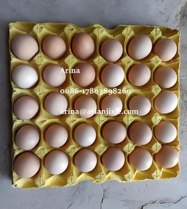 Automatische Eigewichts klassifizierung maschine Eier sortiermaschine Eier sortiermaschine mit Drucker - Product Image 6