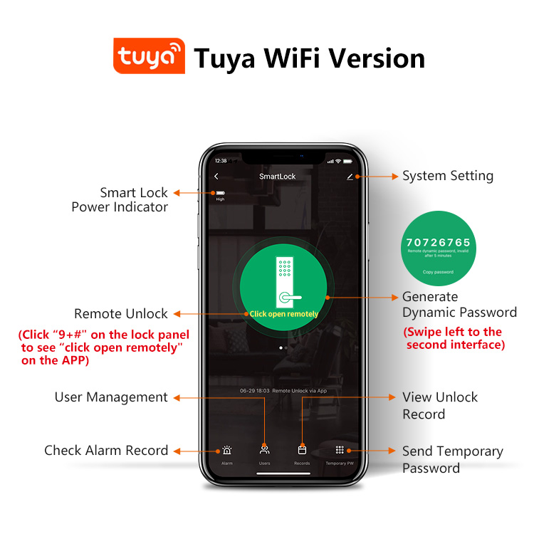 Tediton WIFI Safe Gate Push Pull Combination Fingerprint Smart Digital Lock by Tuya APP