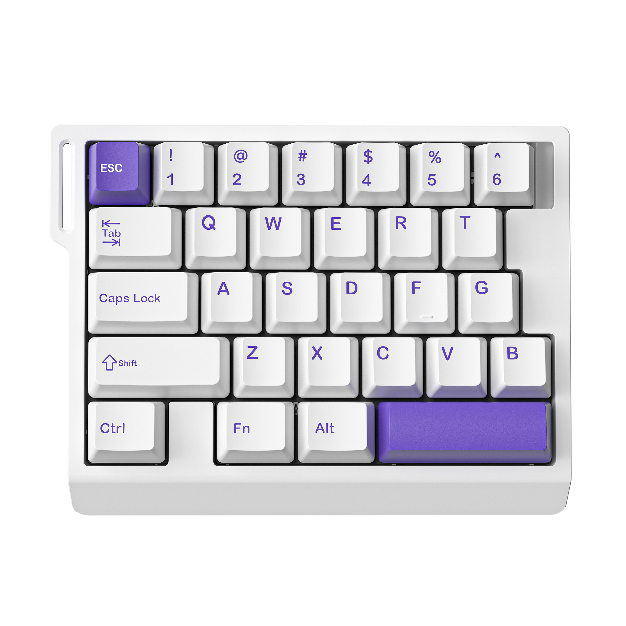 M30HE-White&Pruple
