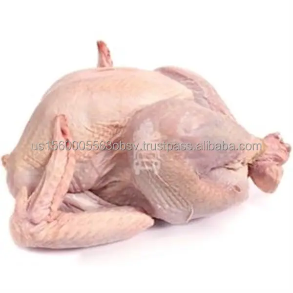 Exporteure von gefrorenen ganzen Hühner für Großhandelsmärkte Großhändler von gefrorenen ganzen Hühner