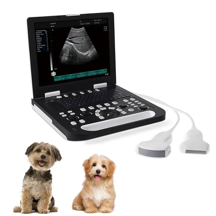 Digital completo mais barato laptop veterinário ultra-som portátil laptop veterinário ultra-som scanner equipamento para animal de estimação