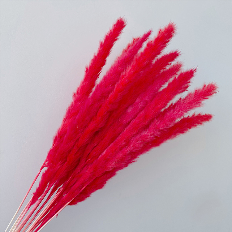 Bouquet d'herbe de pampa 8