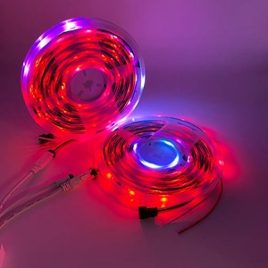 Luces Led Para Casa 12v5m屋内28355050 Smd Rgb Tiras De LucesLedsスマートストリップライト屋外Barras DeLeds