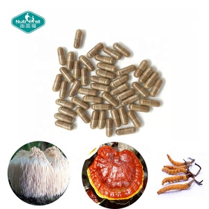 Verbessern Sie die Ergänzung der Gehirn funktion Reishi Mushroom Lion's Mane Ganoderma Cordy ceps Sinensis Extrakt Kapseln - Product Image 2