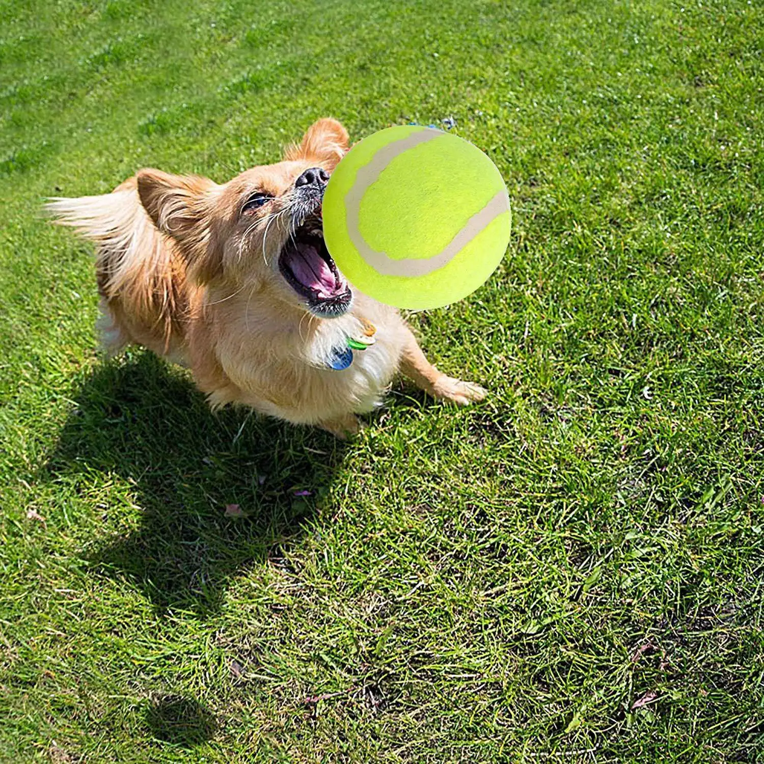 Benutzer definiertes Logo Umwelt freundliches Werfen Hund Kauen Spielzeug Großhandel Gummi Haustier Tennisbälle interaktive Hundes pielzeugball