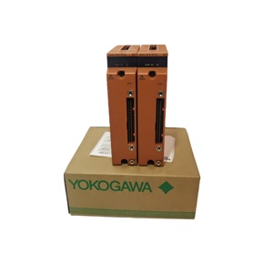 Módulo de entrada analógica, Yokogawa eléctrico, S2, 1/2" - Product Image 4
