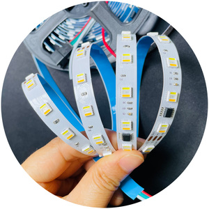 Conjunto de programación Smd tira de Led direccionable 24V 60 Chip Smart Rgbcct tira de Led 10mm PCB Rgbcct 5 en 1 Smd 5050 tira de Led para Decoración
