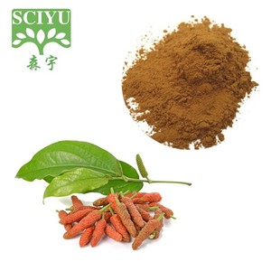 Long Pepper Extract <strong>Fructus</strong> Piperis Longi Extract Fermented Long Pepper Extract - Product Image 2