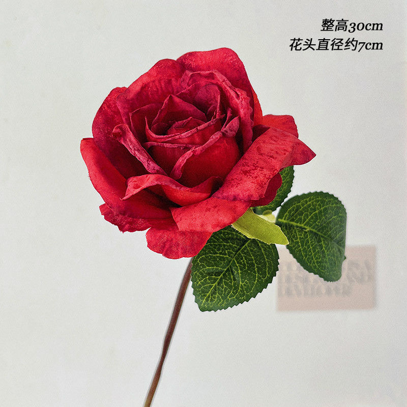Un bouton de rose rouge