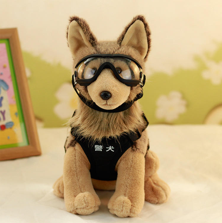 1-lunettes transparentes