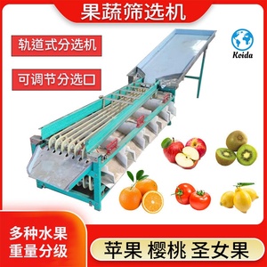 Máquina clasificadora de frutas de alta presión Calibrador de frutas Máquina clasificadora electrónica de peso de frutas - Product Image 2