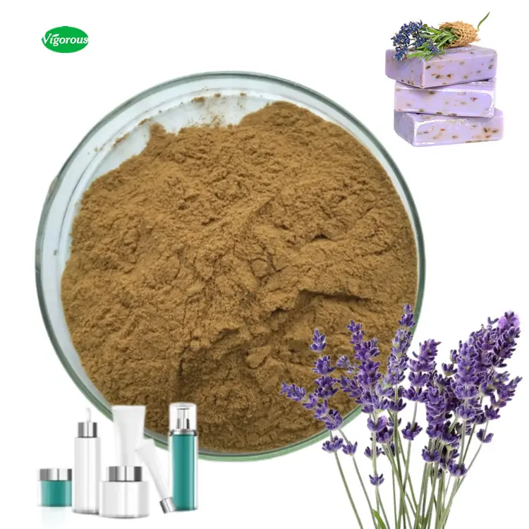 Polvere organica dell'estratto del fiore della lavanda dell'erba di Lavandula angustifolia 101