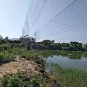 Rete per uccelli rete per nebbia agricola rete per cattura rete per uccelli in plastica anti rete per uccelli per fattoria - Product Image 2