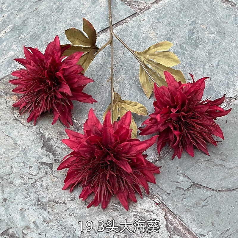 7# 193 têtes de grosse anémone rouge