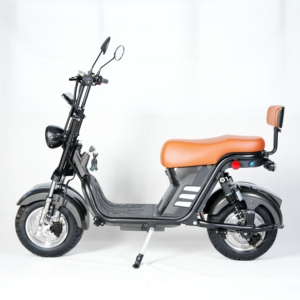 האלי החשמלי שני גלגל citycoco 250w250w את הכביש עבור קטנועים חשמליים מבוגרים