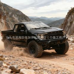 F150 noir
