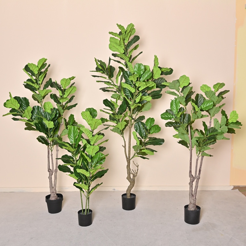Harp leaf FIG 1.2m