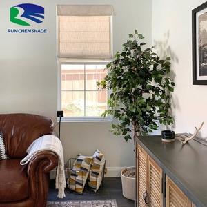 Smart Shade Curtain Motorized Remote Control Polyester <strong>Soft</strong> Fabric Blackout Roman <strong>Window</strong> Blinds Shades - Product Image 3