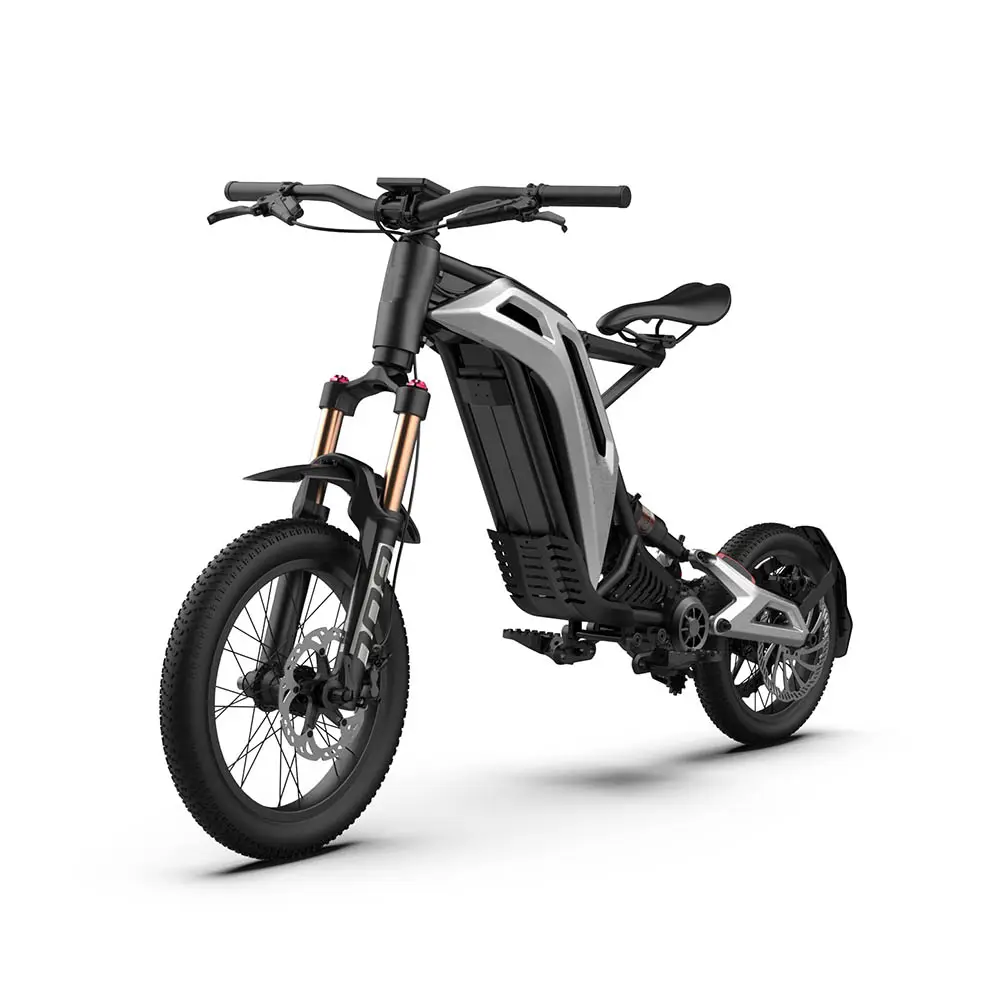 YWEM-QXTTS 1000 W 48 V 25 AH hochwertiges Schnellstes Geschwindigkeits 50 km/h Erwachsenen-E-Bike neue elektro-Offroad-Motorräder