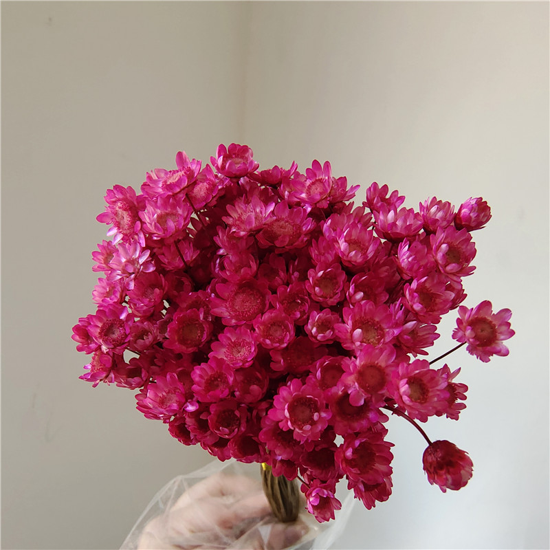 50 stems - rose red