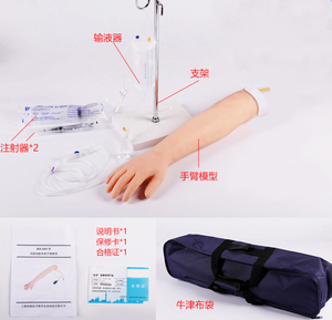 <strong>Medica</strong> Science Teaching Models Venipuncture and Blood Drawing Teaching Model for Learning and Teaching - Product Image 3