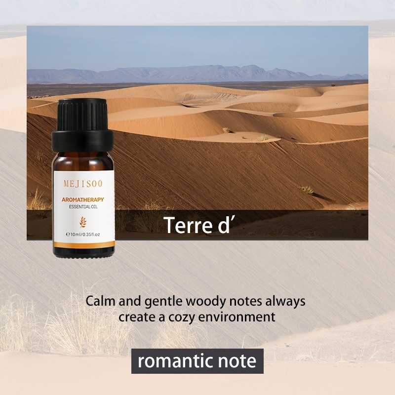 Terre d'