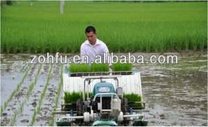8 แถวข้าว seed planter/เมล็ดข้าวเครื่องปลูกขนาดใหญ่เครื่องยนต์และเสียงต่ำ - Product Image 3