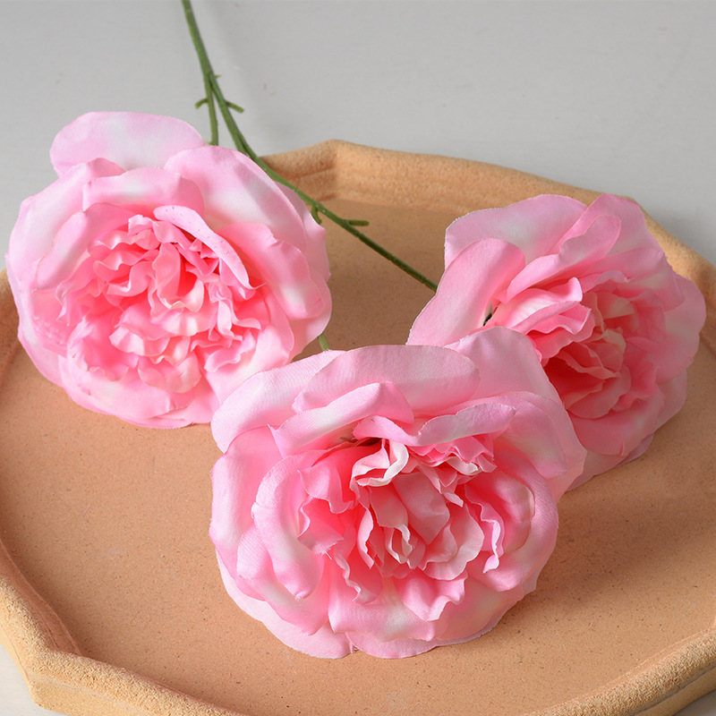3 martin rose