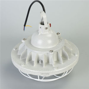 IP66 chống cháy nổ đèn IIa iib IIC Dip công nghiệp ATEX chống ăn mòn chiếu sáng LED chất lượng cao đèn - Product Image 5