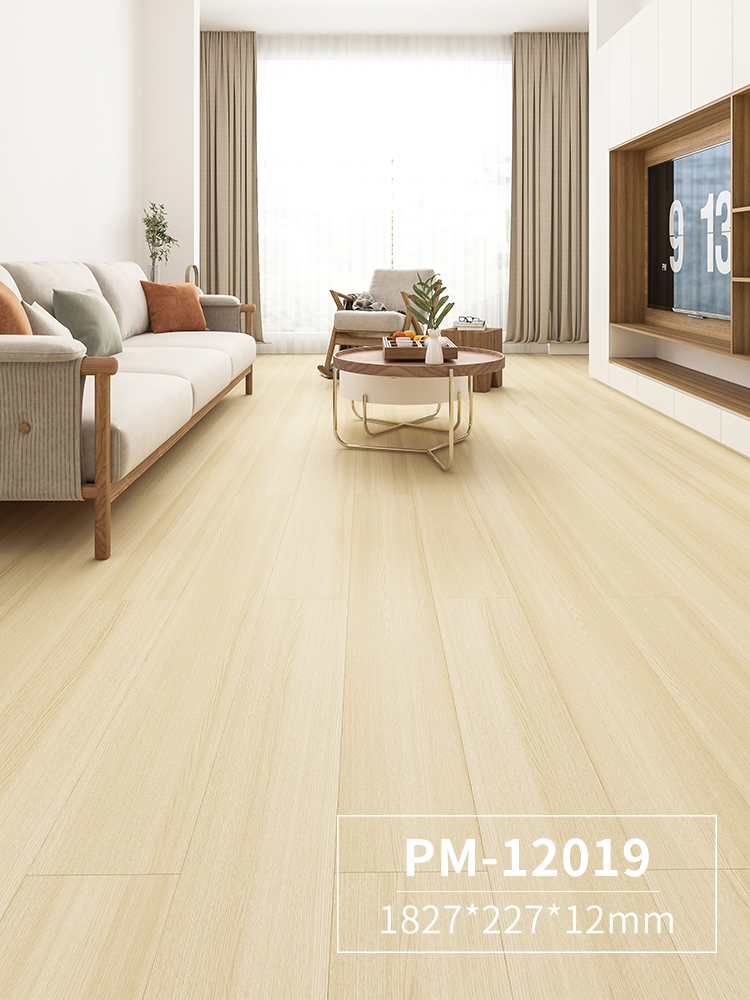 PM12019