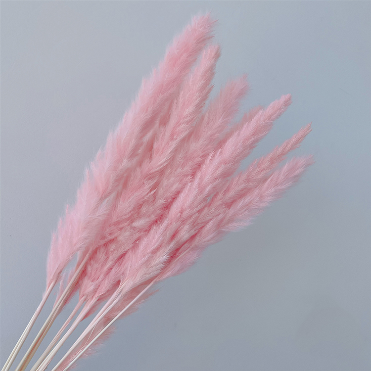 Bouquet d'herbe de pampa 10