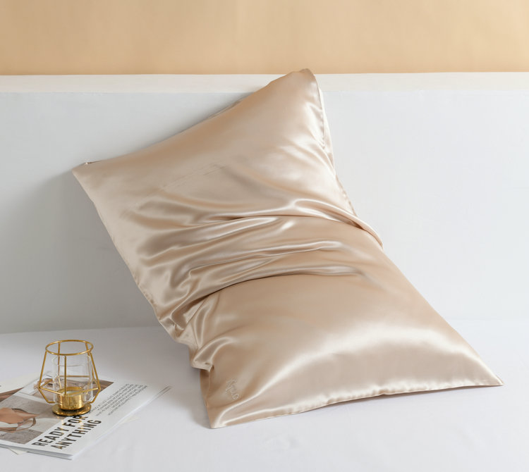 22 silk pillowcase zipper beige