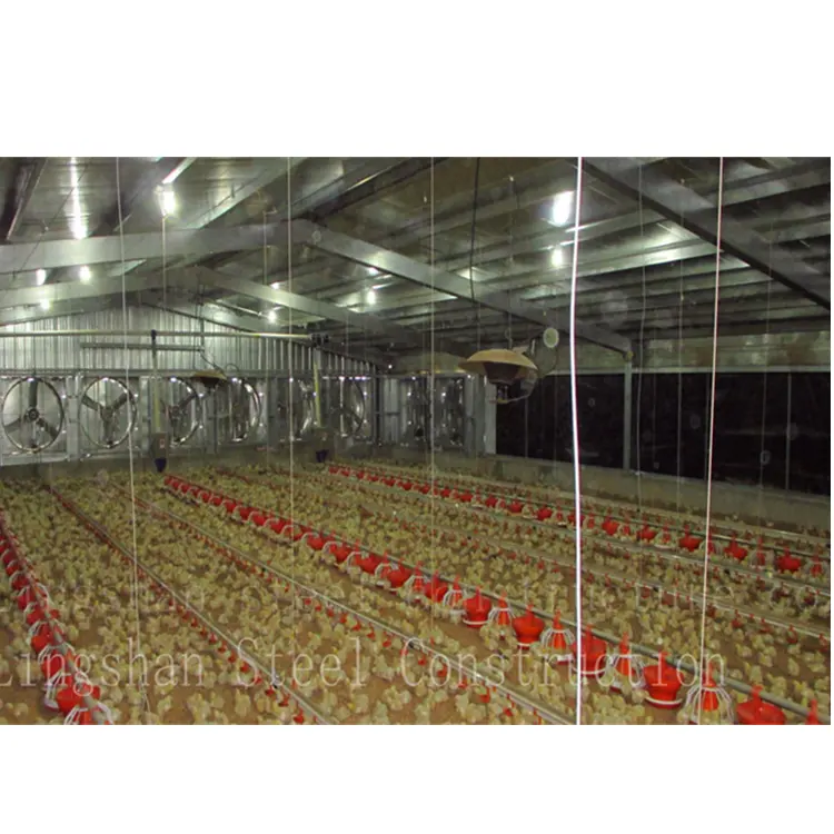 Élevage de volaille commerciale, à bas prix, structure en acier, construction de ferme à poulet, pré-assemblée pour vente