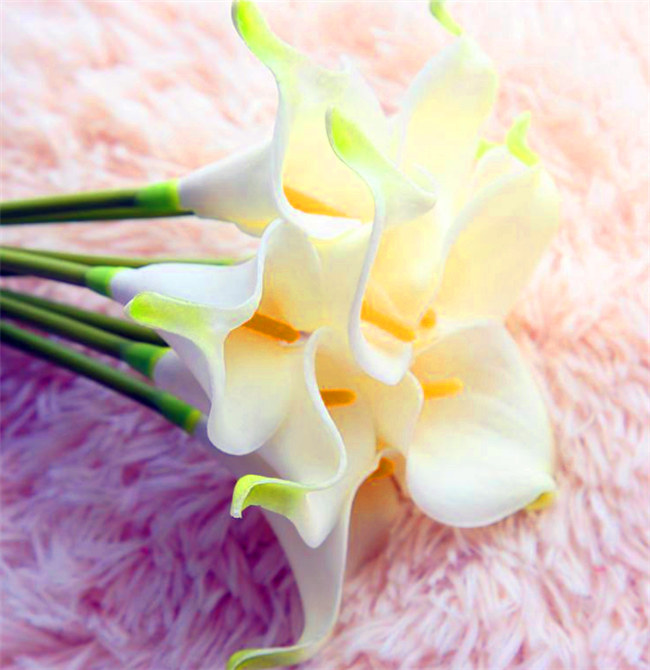 Blanc jaune