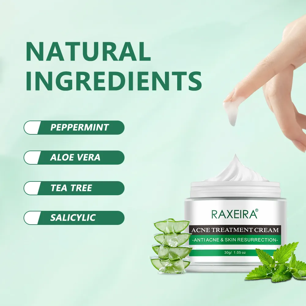 Private Label bio menta piperita Aloe Vera Tea Tree salicilico trattamento dell'acne crema per il viso per il trattamento dell'acne