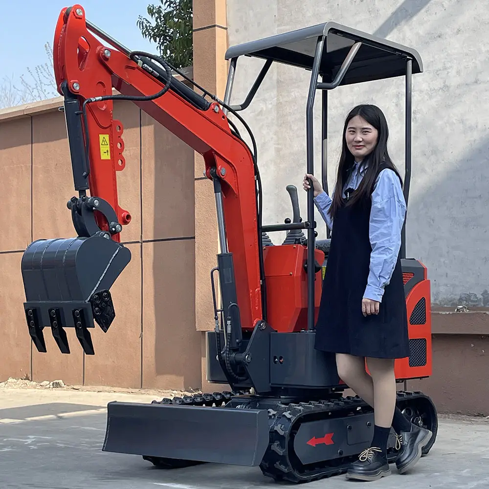 Cina più economico giardino forte potenza 2000kg pieno-funzione secchio mini escavatore con scavatore epa motore