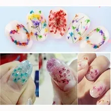 1 scatola 24 pezzi di fiori secchi per Nail Art 12 colori fiori secchi Mini Real Natural Flower Nail 3D Applique Nail Decoration Sticker