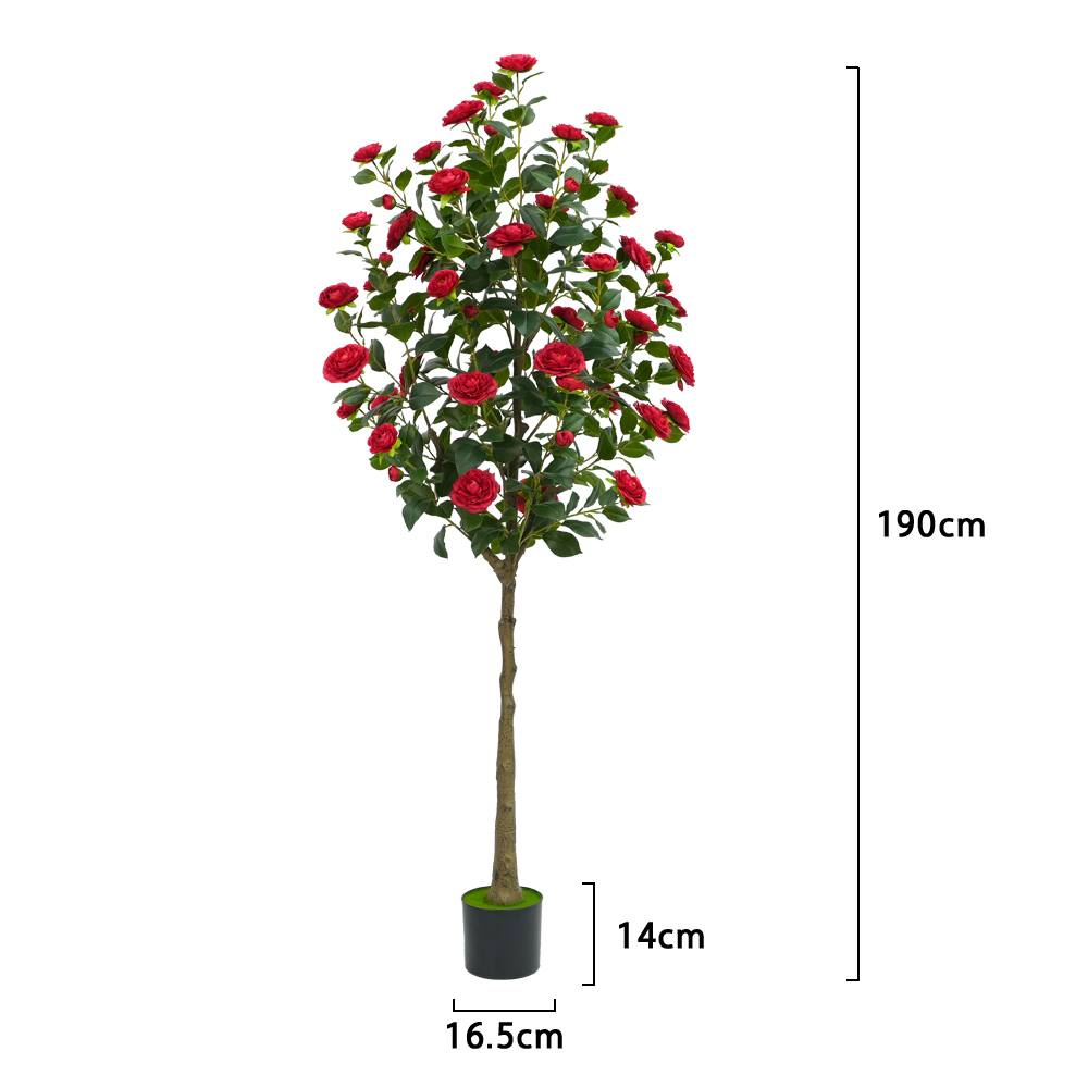Red-6FT