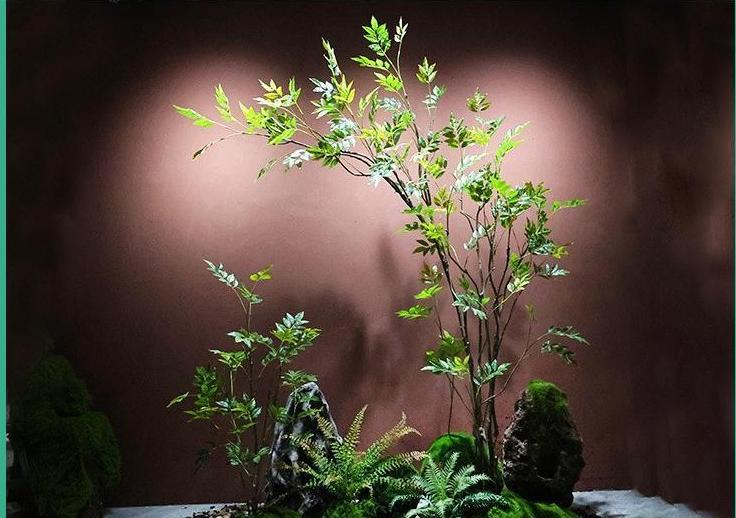 Arbre Huanghuali, ensemble trois