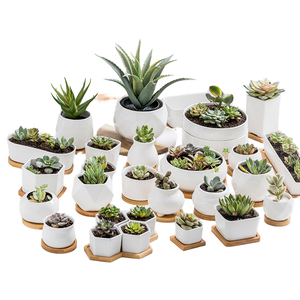 Modern Minimalist Japandi tarzı seramik çiçeklik tepsi sırlı el yapımı küçük Pot ev dekor çiçekleri tencere ve yetiştiricilerinin için - Product Image 1