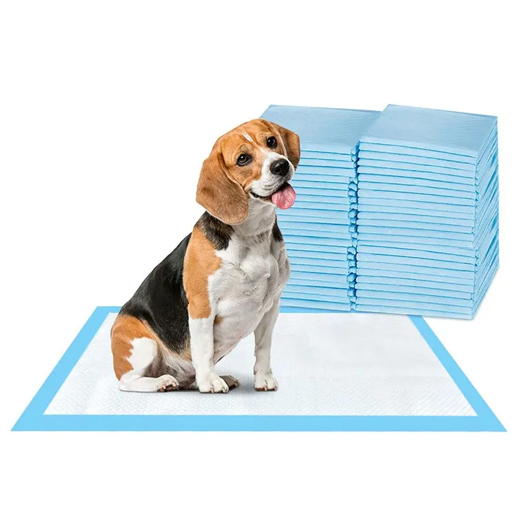Grossisti tappetini per animali domestici personalizzati tappetini per pipì usa e getta impermeabili a prova di perdite Puppy Pad per cani