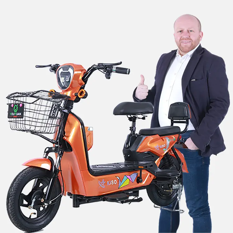 Nuevo modelo directo de fábrica china, Scooter Eléctrico de 2 asientos y 60V, bicicleta eléctrica de ciudad para adultos personalizable, bicicleta eléctrica barata, venta al por mayor